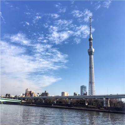 星缘恋爱吧偶像手游下载