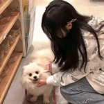 海战行动变态版下载